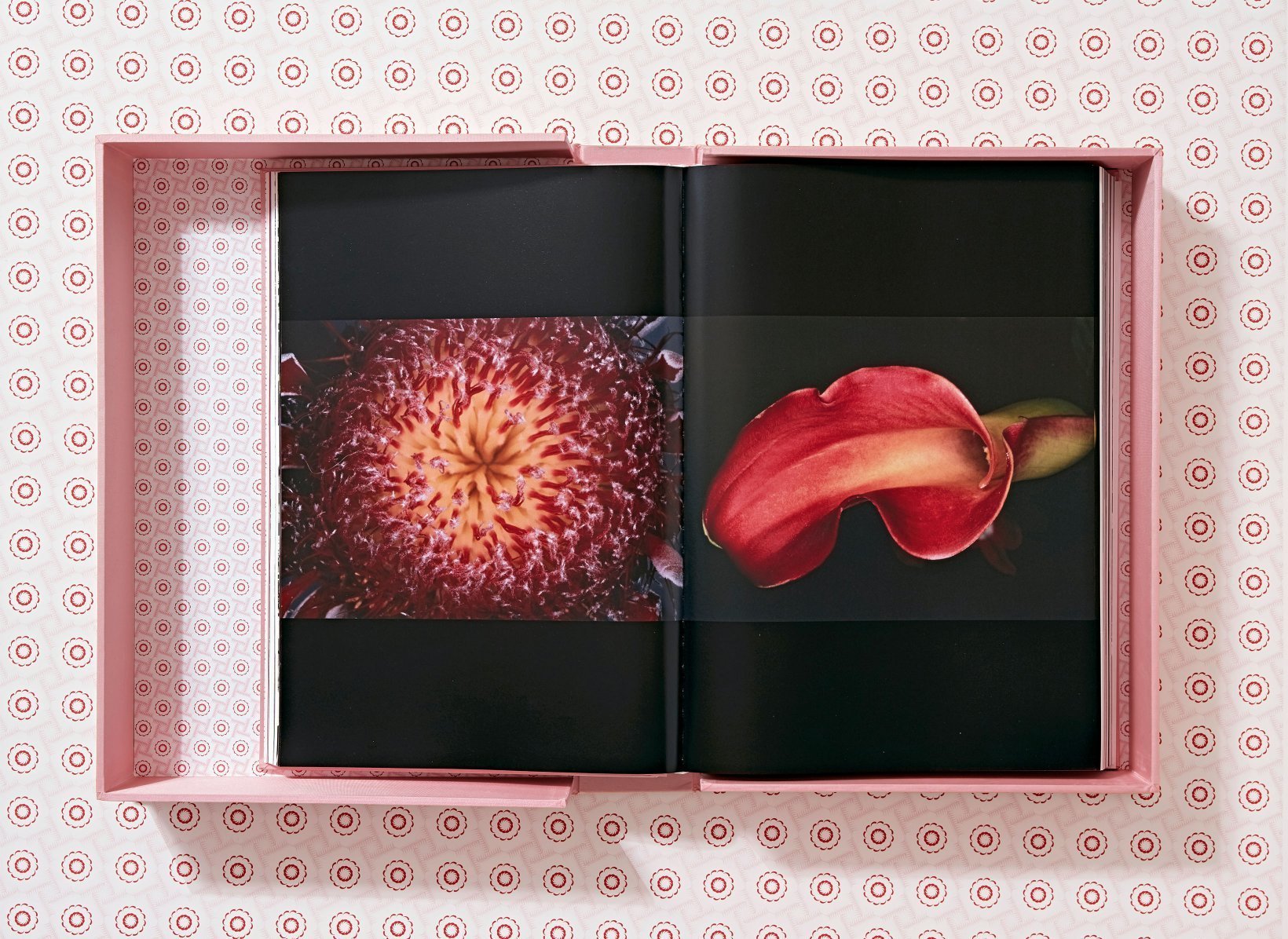Araki BOOKS Taschen 