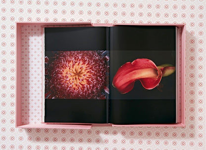 Araki BOOKS Taschen 
