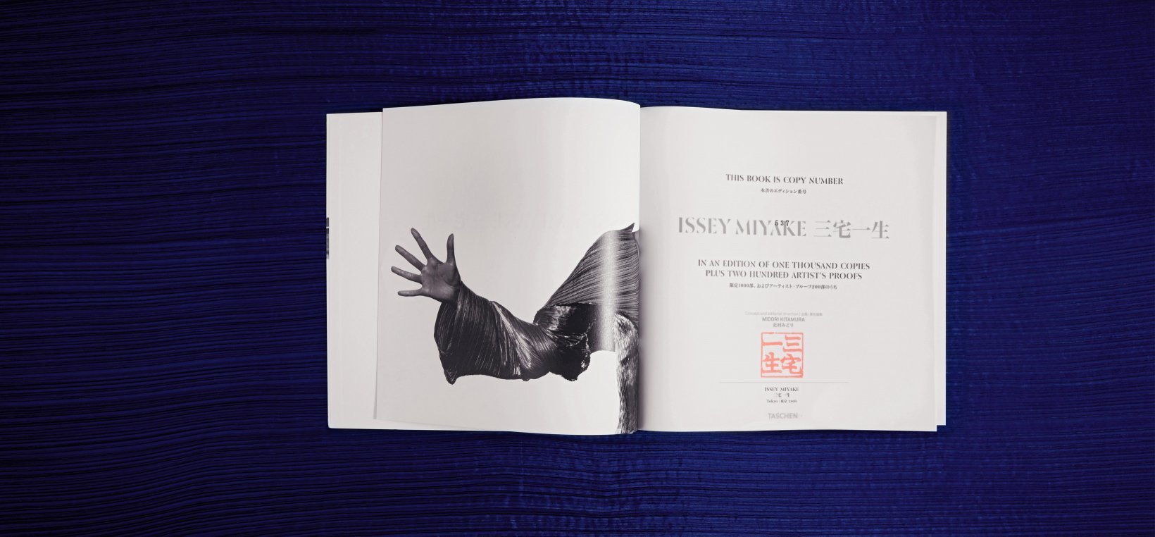 Miyake BOOKS Taschen 