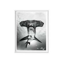 Load image into Gallery viewer, Muller, Sharks, Art B, Under Study Books Taschen 
