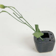 Load image into Gallery viewer, Small Ikebana Vase vases Alice Cheng 
