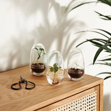 Load image into Gallery viewer, Grow Greenhouse Indoor Planters &amp; Stands Design House Stockholm 
