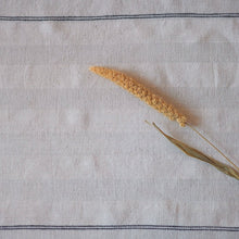 Load image into Gallery viewer, Sitara - Organic Handwoven Napkins - Set of 4 Table Linen Soil to Studio 
