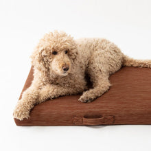 Load image into Gallery viewer, Modern Dog Bed PET LAY LO 
