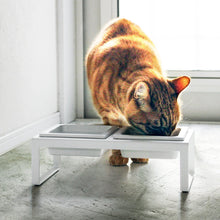 Load image into Gallery viewer, Pet Food Bowl - Tall Pets Yamazaki 
